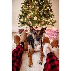 Acorn Mens Shearling Romeo Moc Slippers With Genuine Sheepskin 17 Acorn Mens Shearling Romeo Moc Slippers With Genuine Sheepskin -Hestra Clothing Store acorn men s shearling romeo moc slippers with genuine sheepskin 118