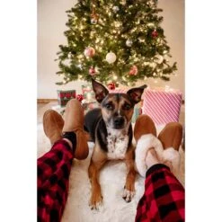 Acorn Mens Shearling Romeo Moc Slippers With Genuine Sheepskin 19 Acorn Mens Shearling Romeo Moc Slippers With Genuine Sheepskin -Hestra Clothing Store acorn men s shearling romeo moc slippers with genuine sheepskin 120