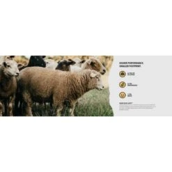 Worn Hunt & Heavy Terrain Full-Cushion Socks -Hestra Clothing Store worn hunt heavy terrain full cushion socks 120