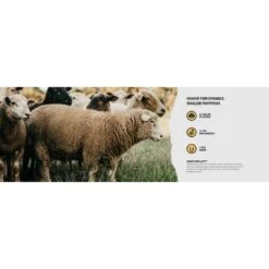 Worn Winter Work Boot Calf Height Socks -Hestra Clothing Store worn winter work boot calf height socks 135